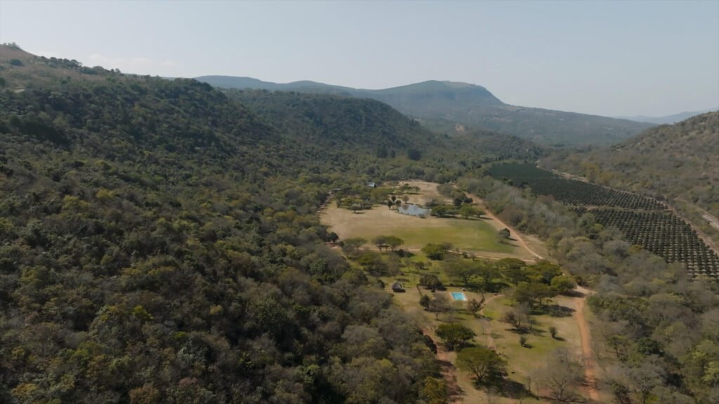 Overhead view of Mankele