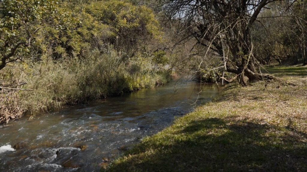 River at Mankele